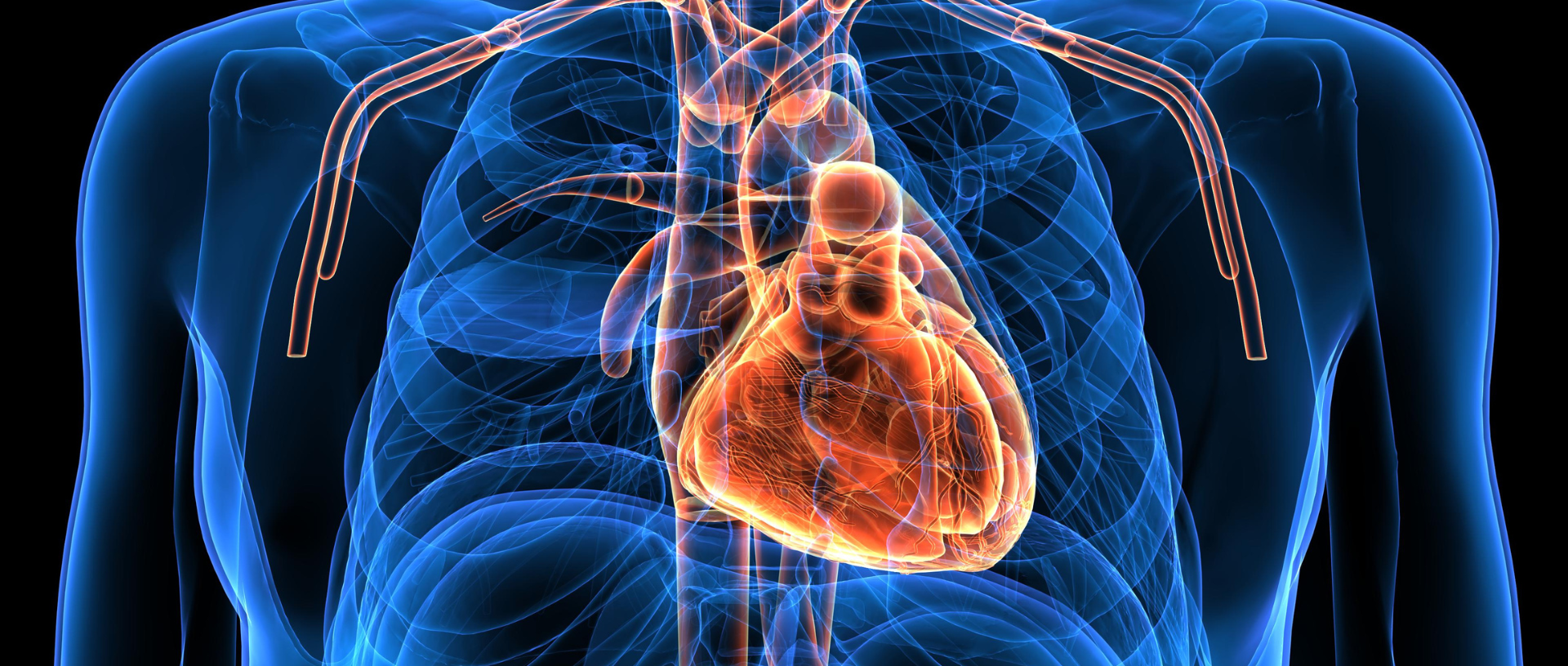 Rolfing® Structural Integration and the 