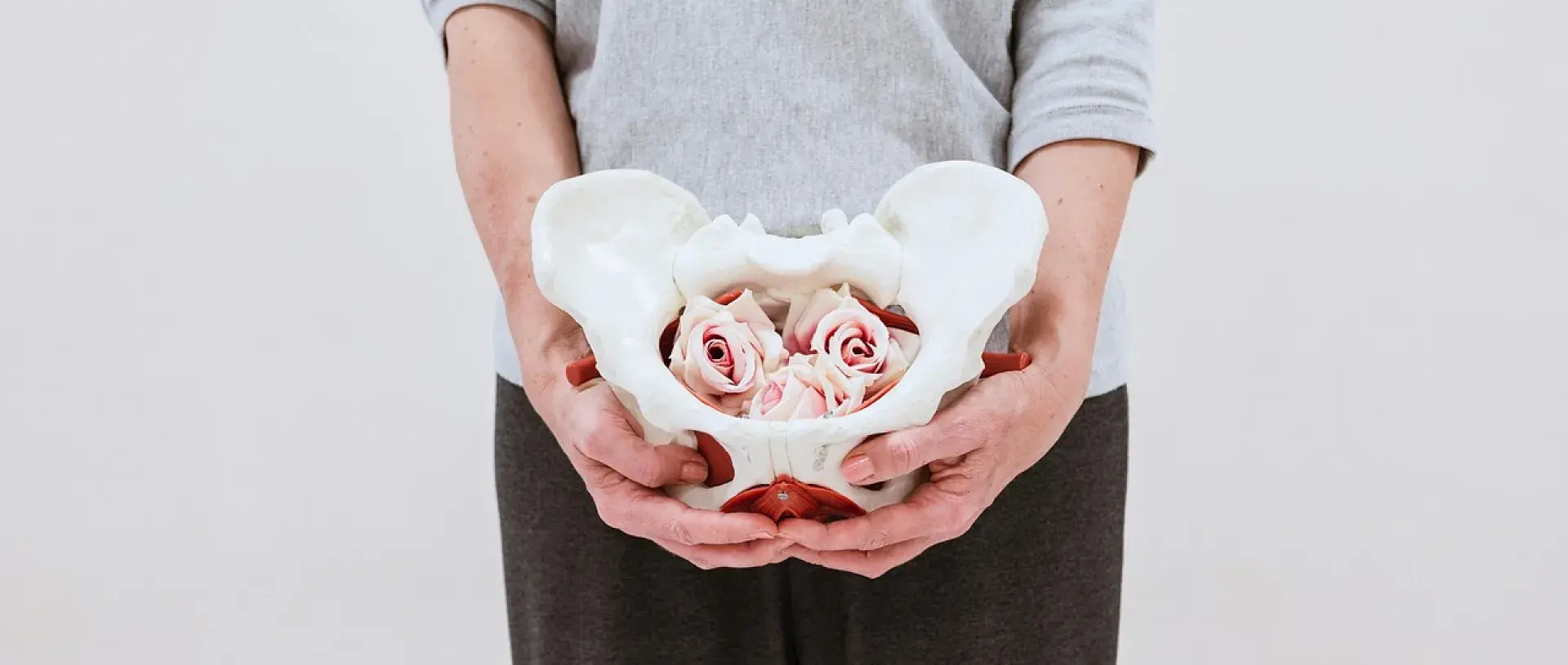 pelvis
