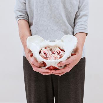pelvis